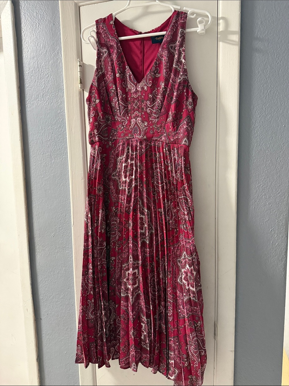Taylor Dresses Sleeveless V-Neck Pleated Maxi in Burgundy Paisley
